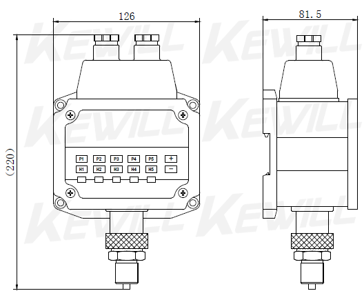 PE60A 压力控制器